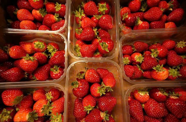 Đài PTTH Hà Nội