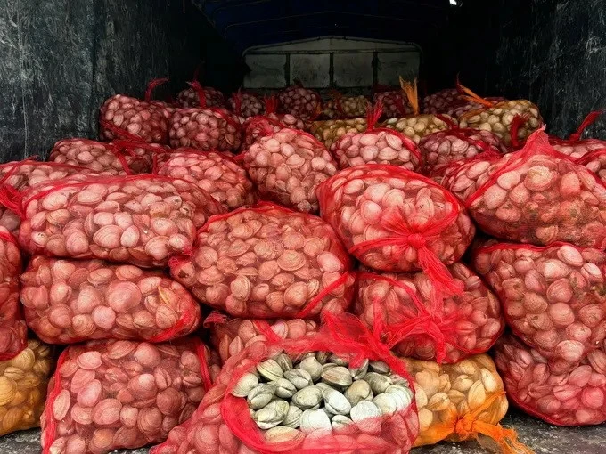 Đài PTTH Hà Nội